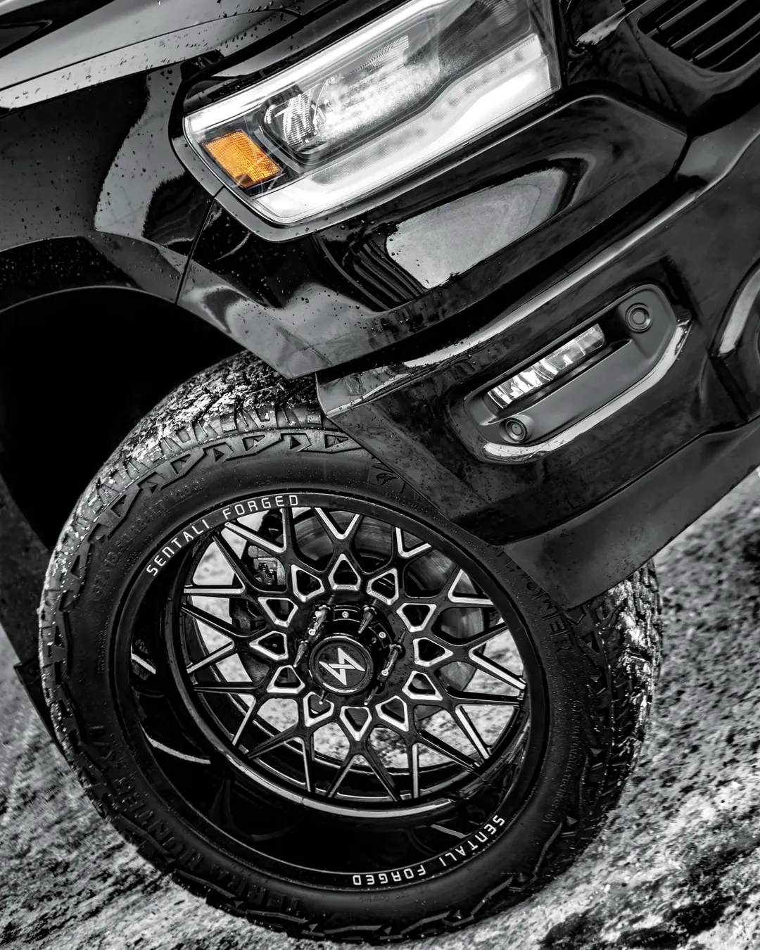 Roues Sentali Coral Reef